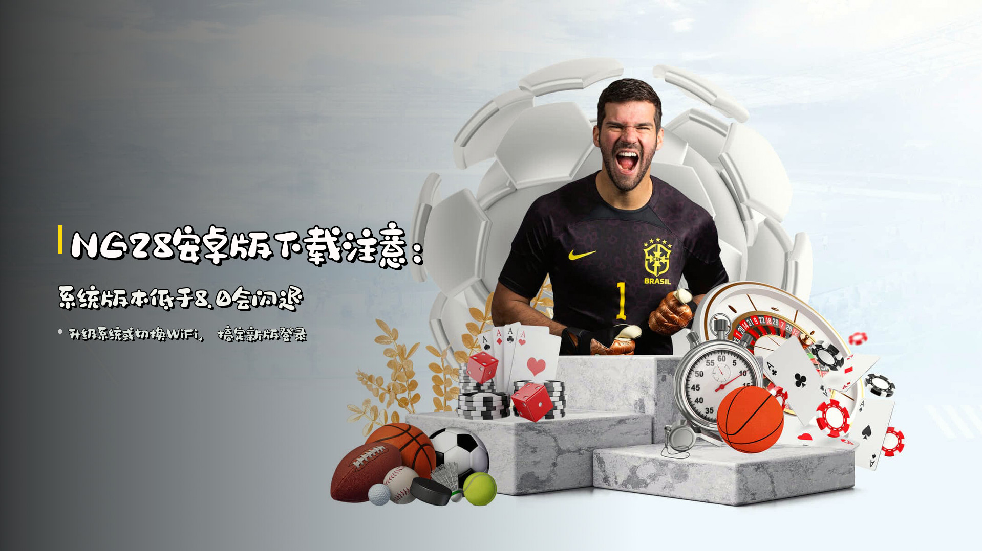 NG28安卓版下载注意：系统版本低于8.0会闪退